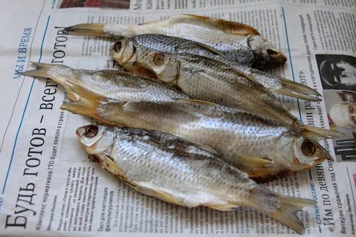 Сушёная Вобла