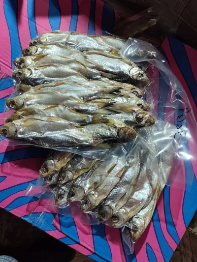 Фото к отзыву