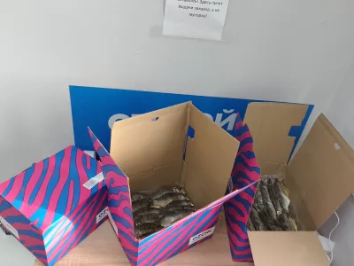 Фото к отзыву