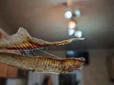 Фото к отзыву