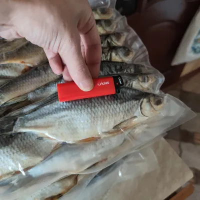 Фото к отзыву