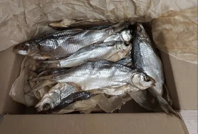 Фото к отзыву