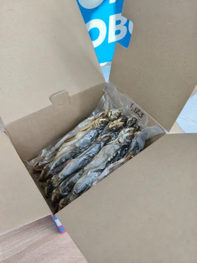 Фото к отзыву