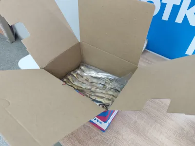 Фото к отзыву